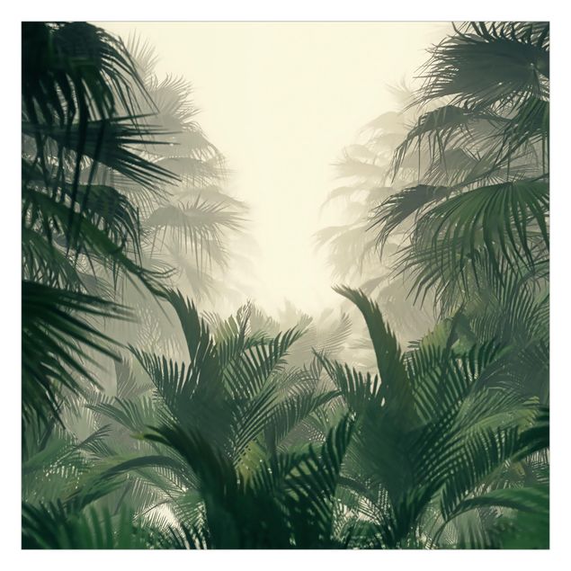 Carta da parati  - Piante tropicali nella nebbia