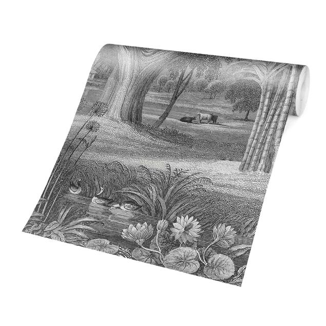 Carta da parati - Incisione sul rame tropicale giardino con stagno in grigio