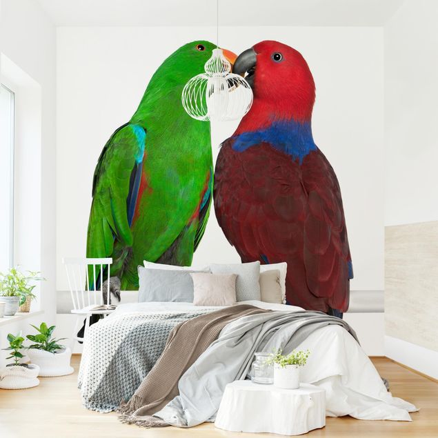 Carta da parati - Lovers parrots
