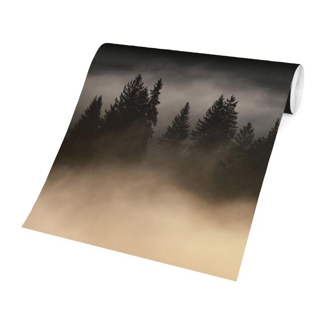 Carta da parati - Foresta di nebbia sognante