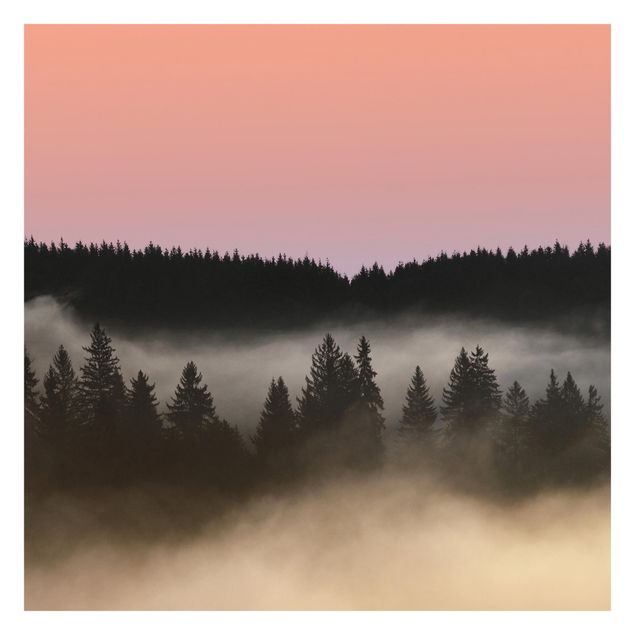 Carta da parati - Foresta di nebbia sognante