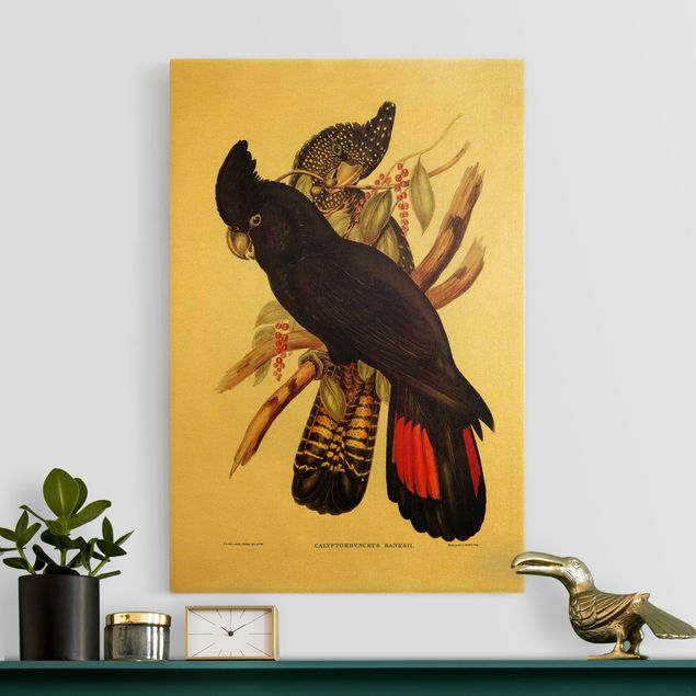Quadri con uccelli Illustrazione vintage Cacatua nero Oro nero