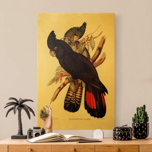 Quadri animali Illustrazione vintage Cacatua nero Oro nero