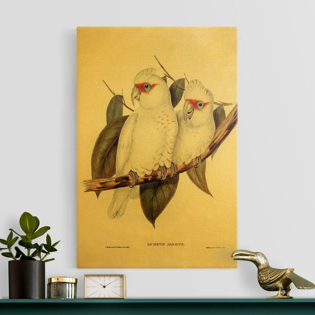 Quadri con uccelli Illustrazione vintage Cacatua bianco