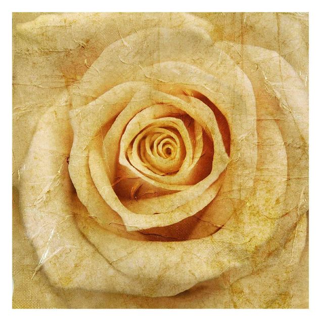 Carta da parati - Vintage Rose