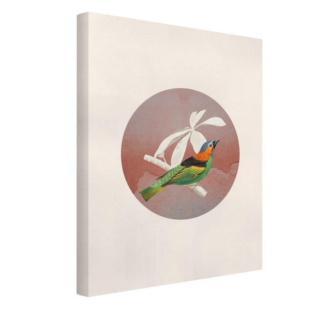 Stampe su tela animali Collage di uccelli in un cerchio ll