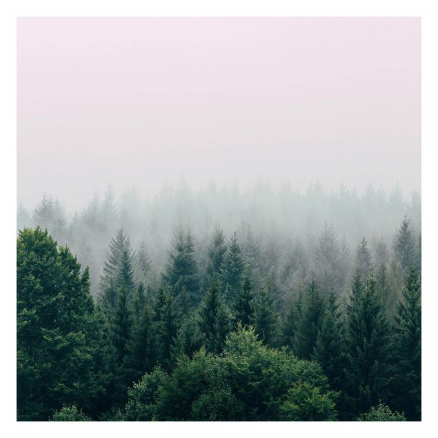 Carta da parati - Foresta nella nebbia del crepuscolo