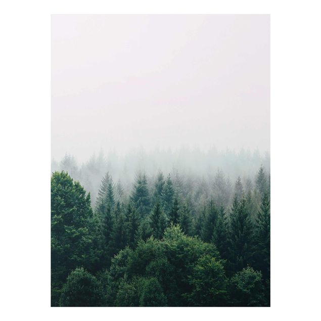 Quadro in vetro - Foresta nella nebbia del crepuscolo
