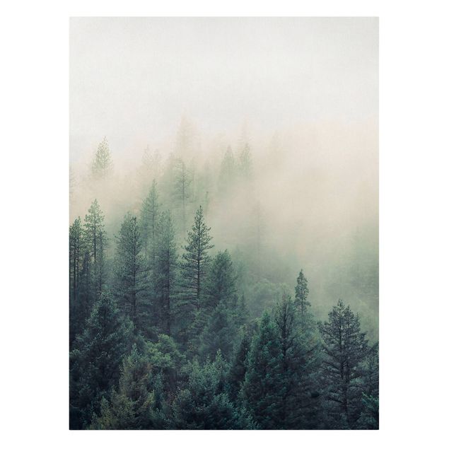 Quadri su tela Risveglio della foresta nebbiosa