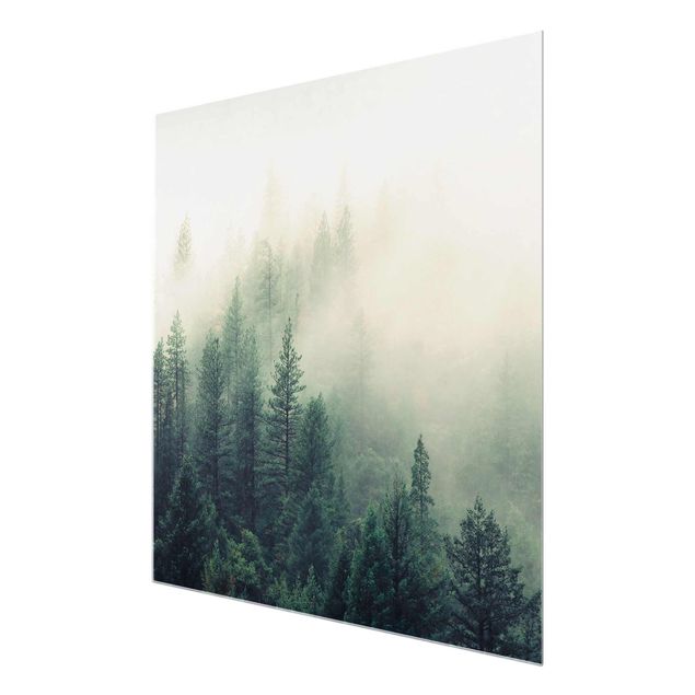 Quadro in vetro - Foresta nebbiosa al risveglio