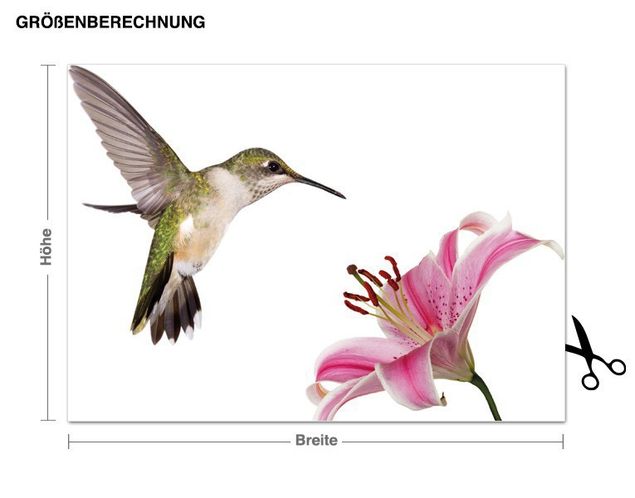 Adesivo murale - colibrì