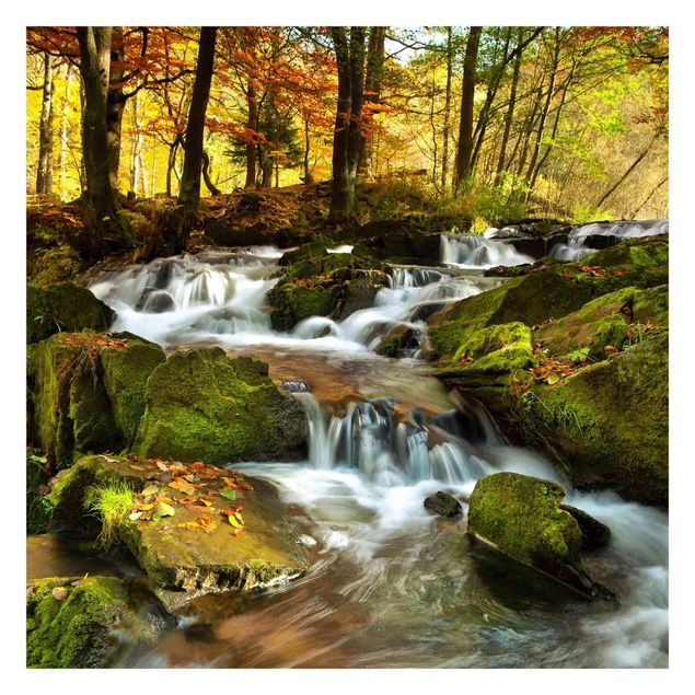 Carta da parati - Waterfall autumnal forest