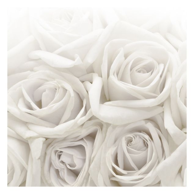 Carta da parati - Rose bianche