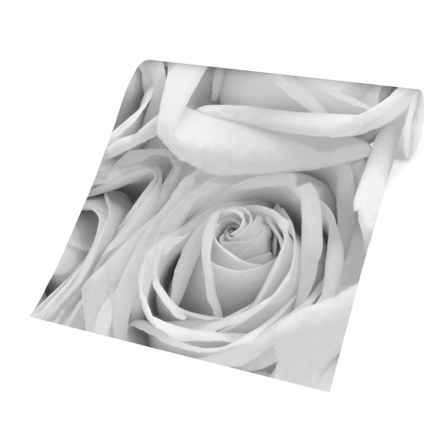 Carta da parati - Rose bianche in bianco e nero