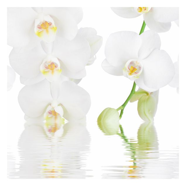 Carta da parati - Wellness orchid