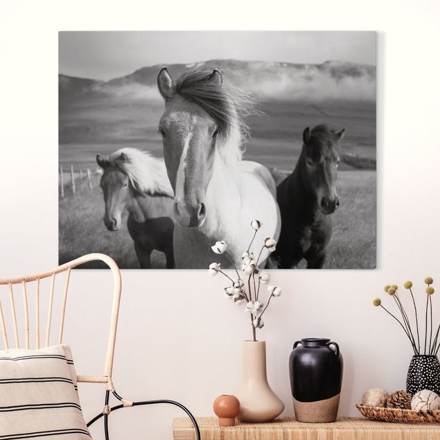 Quadri con cavalli Cavalli selvaggi in bianco e nero