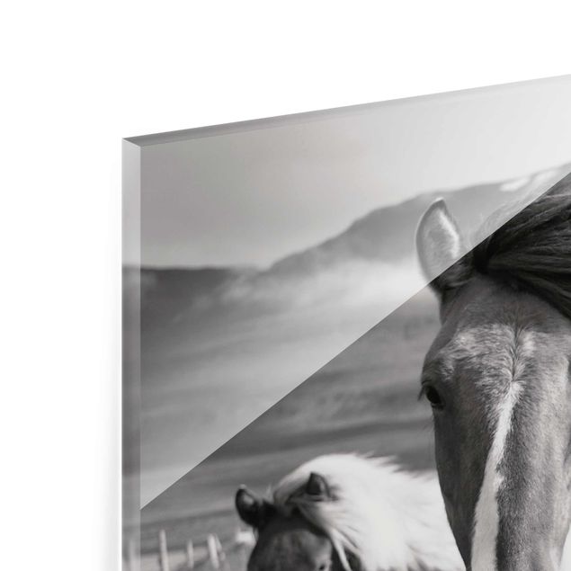 Quadro in vetro - Cavalli selvaggi in bianco e nero