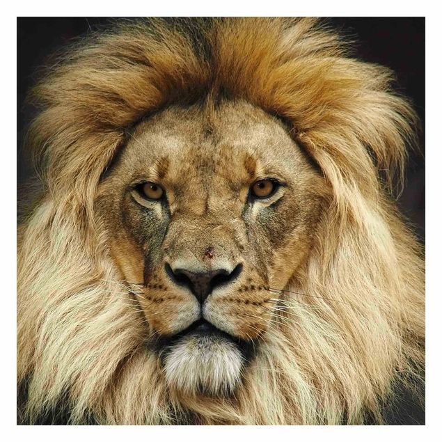 Carta da parati - Wisdom of Lion