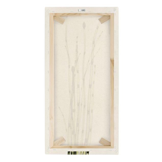 Quadro su tela naturale - X-Ray - Equisetum - Formato verticale 1:2
