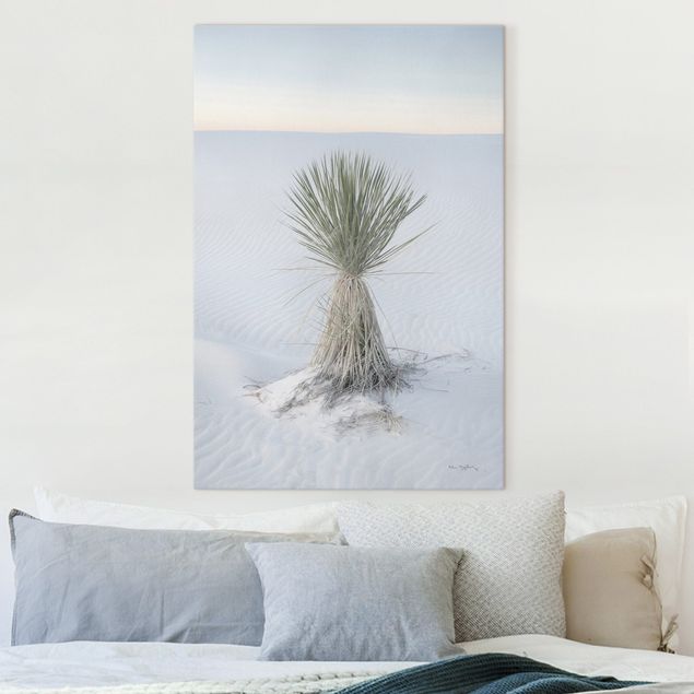 Quadri con deserto Palma Yucca nella sabbia bianca