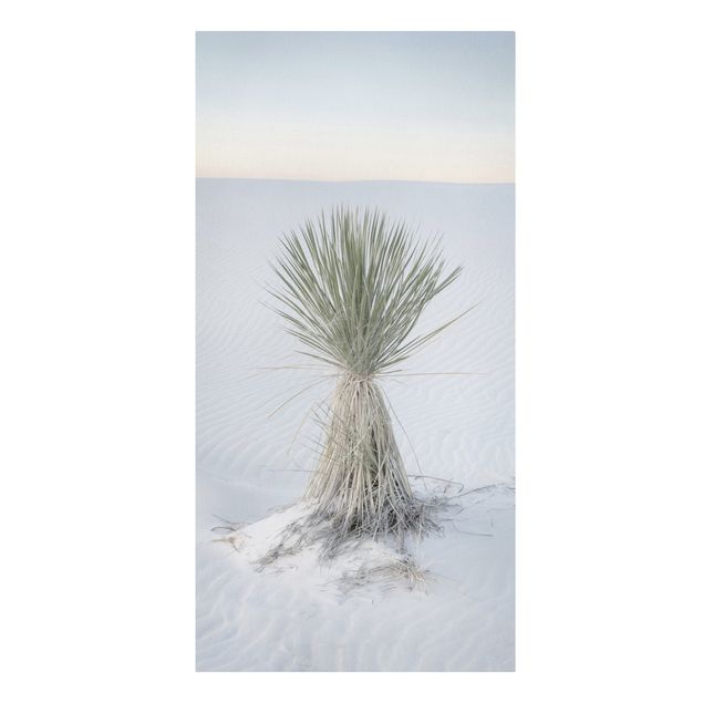 Stampa su tela - Palma Yucca nella sabbia bianca - Formato verticale1:2