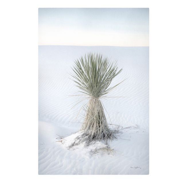 Stampa su tela - Palma Yucca nella sabbia bianca - Formato verticale2:3