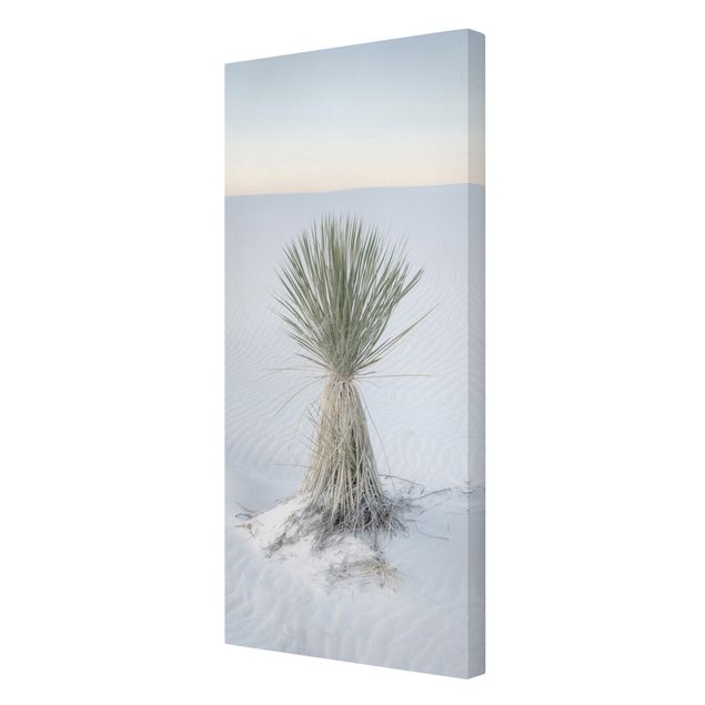 Stampa su tela - Palma Yucca nella sabbia bianca - Formato verticale1:2