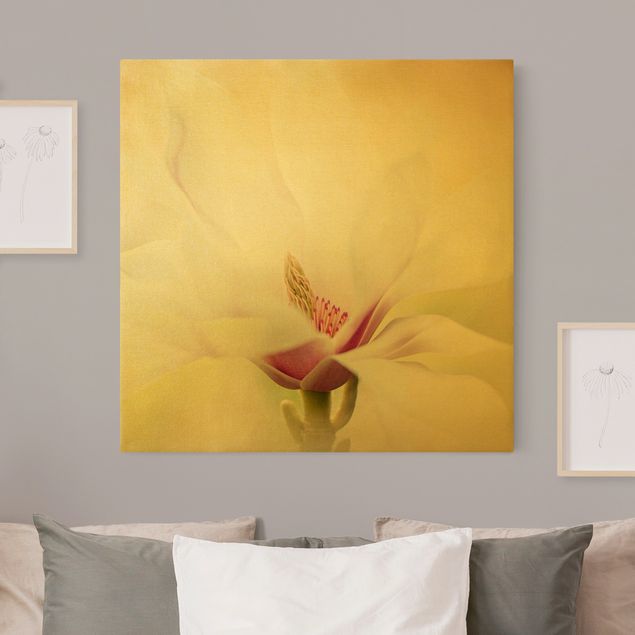 Quadri moderni per soggiorno Delicato fiore di magnolia
