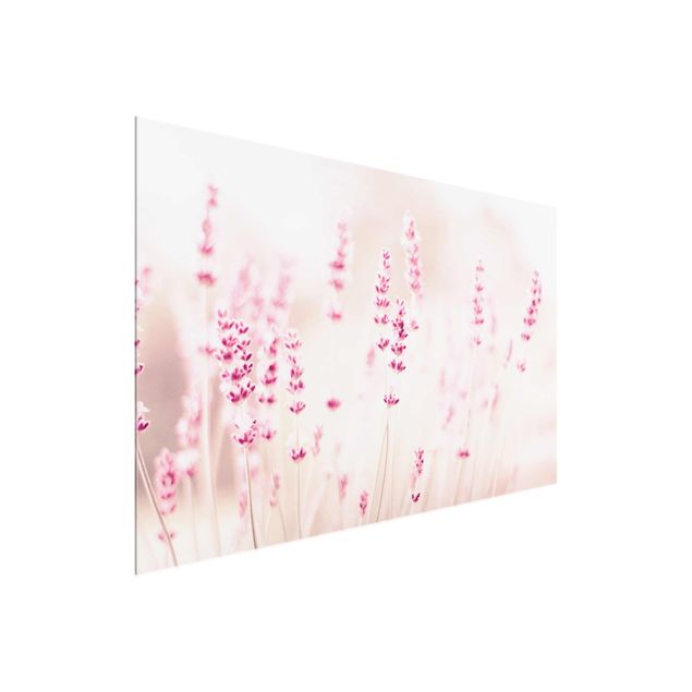 Quadro in vetro - Lavanda delicata rosata