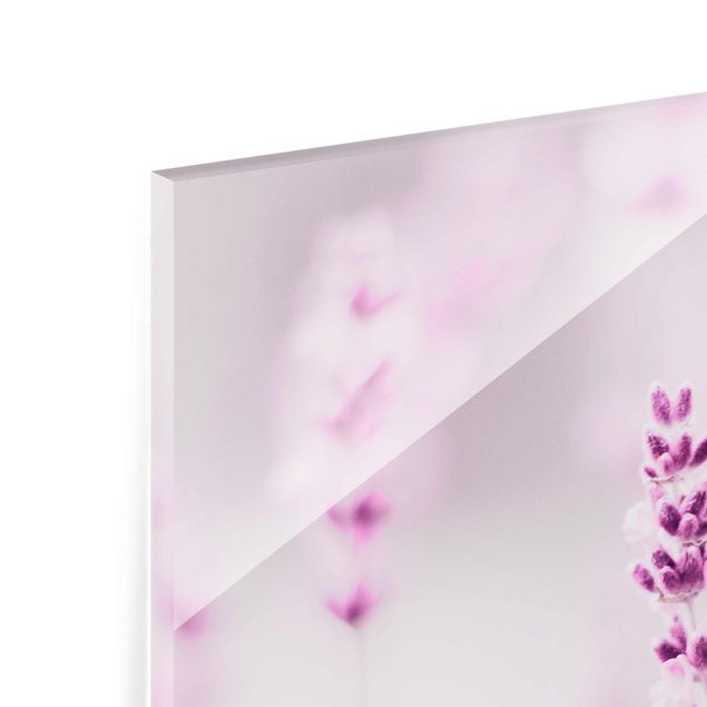 Quadro in vetro - Lavanda delicata violetta