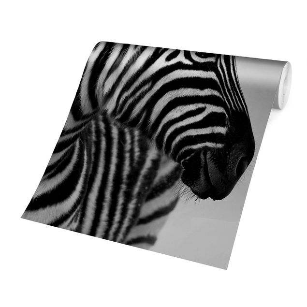 Carta da parati - Zebra Baby Portrait II