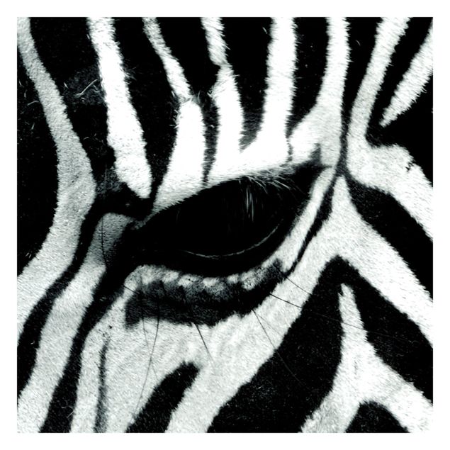 Carta da parati - Zebra Crossing