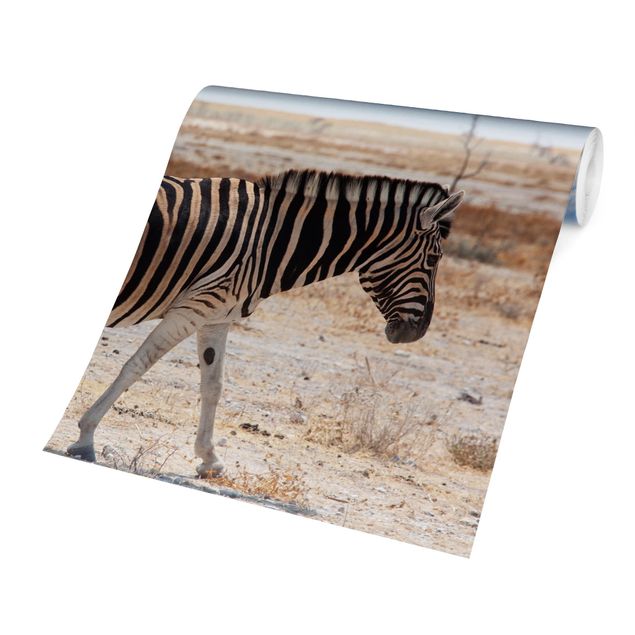 Carta da parati - Zebra I
