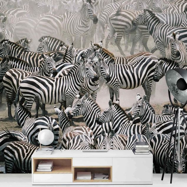 Carta da parati - Zebra herd