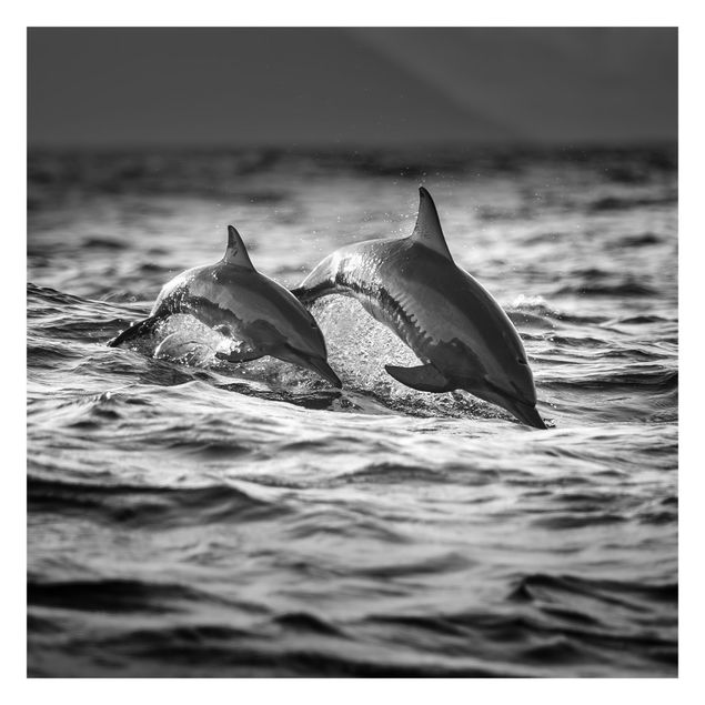 Carta da parati - Due delfini che saltano