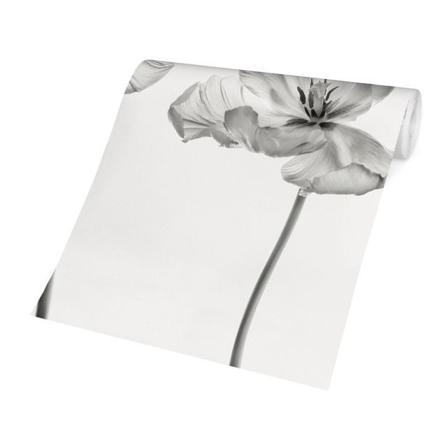 Carta da parati - Due delicati tulipani bianchi
