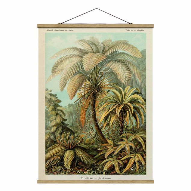 Foto su tessuto da parete con bastone - Botanica illustrazione d'epoca Foglie Felci - Verticale 4:3
