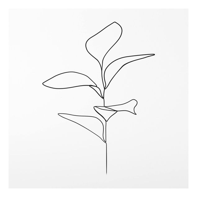 Stampa su Forex - Line Art foglie delle piante Bianco e nero - Quadrato 1:1