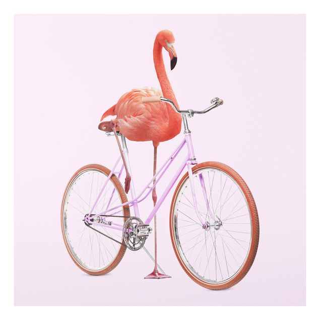 Stampa su Forex - Flamingo con la bicicletta - Quadrato 1:1