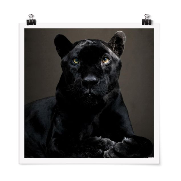 Poster - nero Puma - Quadrato 1:1
