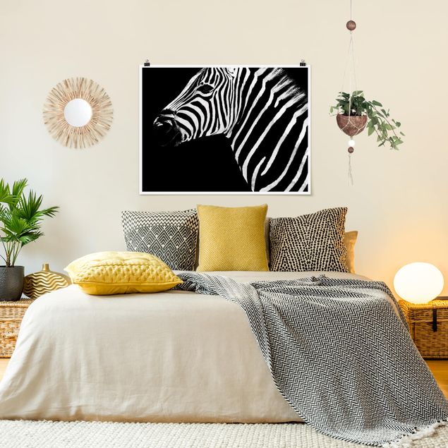Poster bianco e nero formato orizzontale Zebra Safari Art