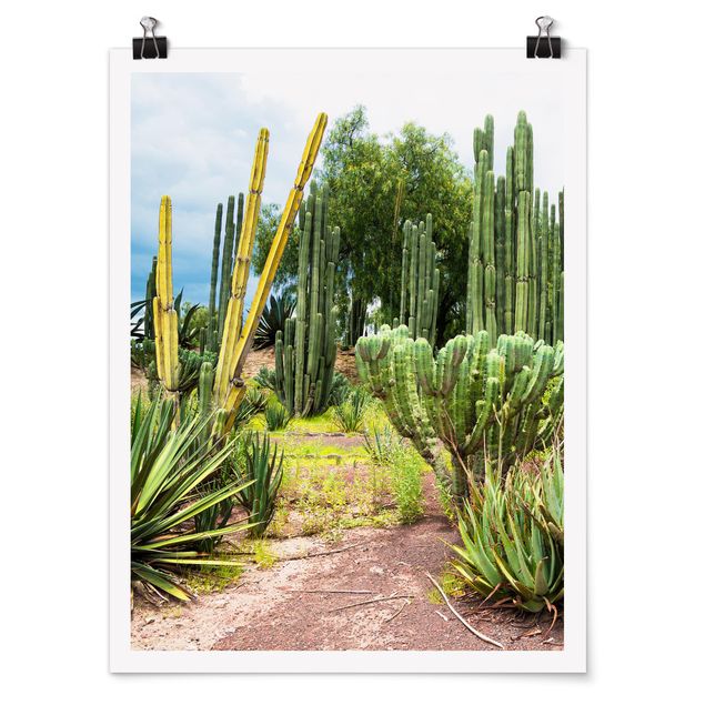 Poster - Cactus Paesaggio - Verticale 4:3