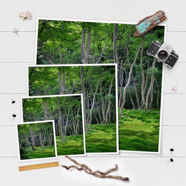 Poster - Foresta giapponese - Quadrato 1:1