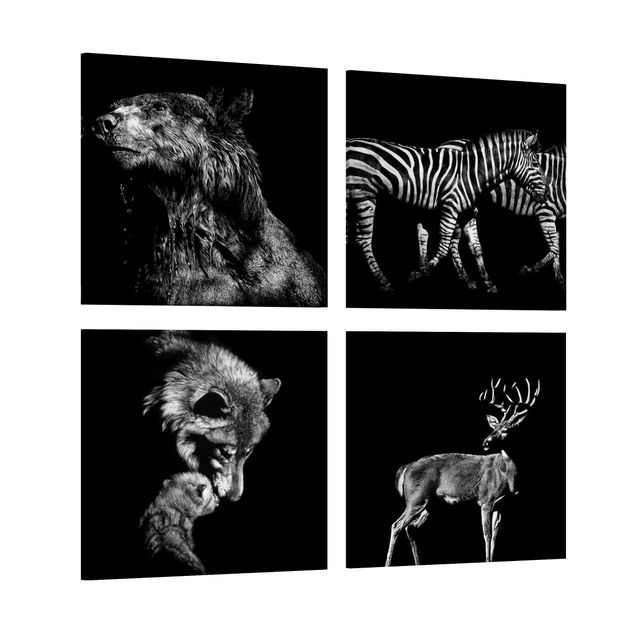 Riproduzione quadri su tela Animali selvatici dal nero Set I
