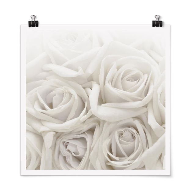 Poster - Rose bianche - Quadrato 1:1