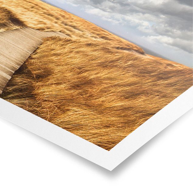 Poster - Way nelle dune - Panorama formato orizzontale