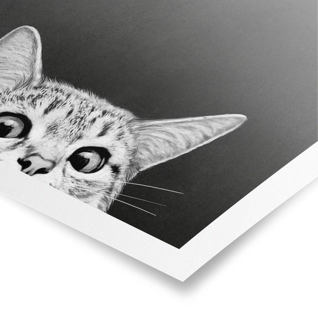 Poster - Illustrazione Gatto Bianco e nero Disegno - Verticale 4:3