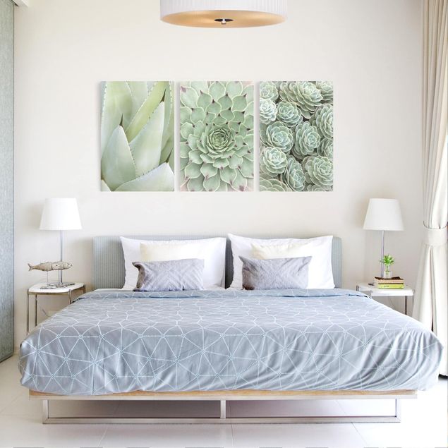 Quadri moderni per soggiorno Trio di agave e succulente