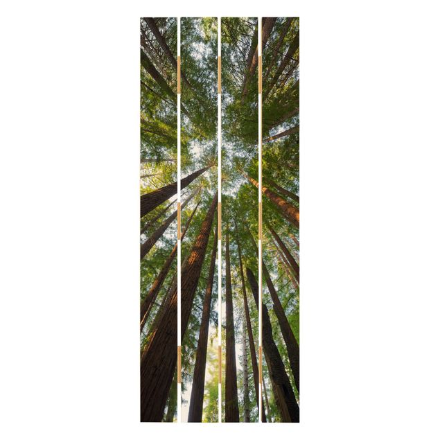 Stampa su legno - Tops Sequoia - Verticale 5:2