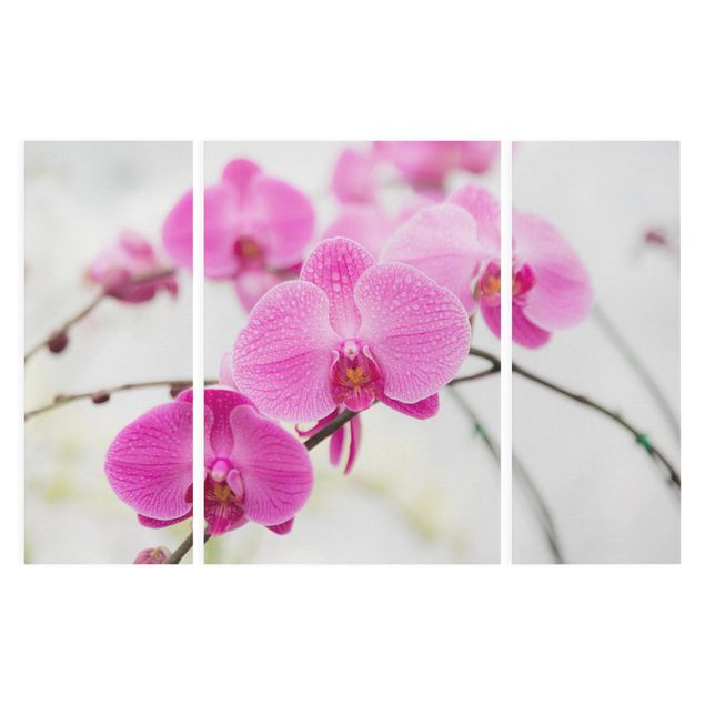 Stampa su tela 3 parti - Close Orchid - Trittico